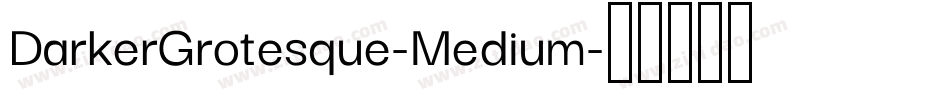 DarkerGrotesque-Medium字体转换