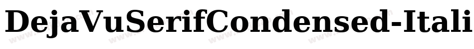 DejaVuSerifCondensed-Italic-21字体转换