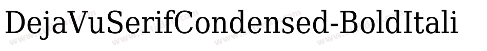 DejaVuSerifCondensed-BoldItalic-20字体转换