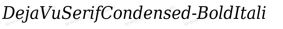DejaVuSerifCondensed-BoldItalic-20字体转换