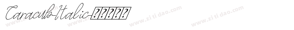 Caracub-Italic字体转换