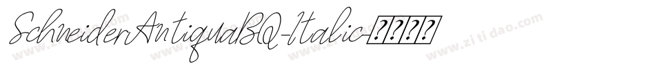 SchneiderAntiquaBQ-Italic字体转换