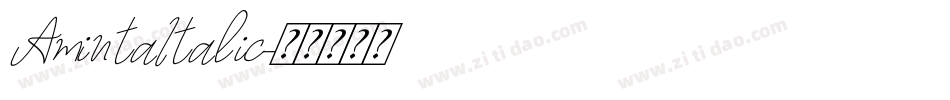 AmintaItalic字体转换