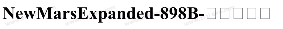 NewMarsExpanded-898B字体转换