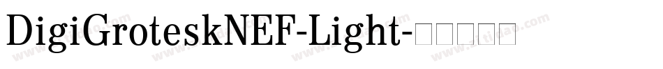 DigiGroteskNEF-Light字体转换