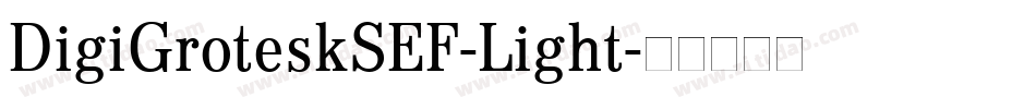 DigiGroteskSEF-Light字体转换