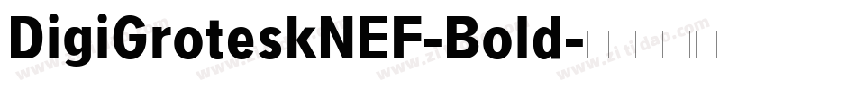 DigiGroteskNEF-Bold字体转换