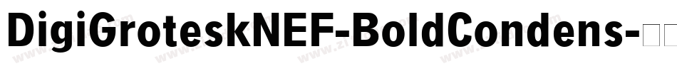 DigiGroteskNEF-BoldCondens字体转换