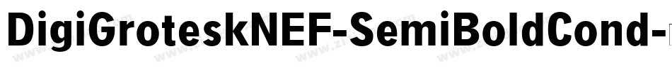 DigiGroteskNEF-SemiBoldCond字体转换