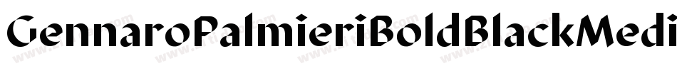 GennaroPalmieriBoldBlackMedium-qpw0字体转换 GennaroPalmieriBoldBlackMedium-qpw0字体转换