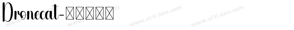 Dronecat字体转换