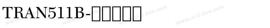 TRAN511B字体转换