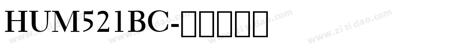 HUM521BC字体转换