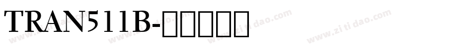 TRAN511B字体转换