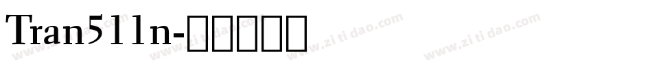 Tran511n字体转换