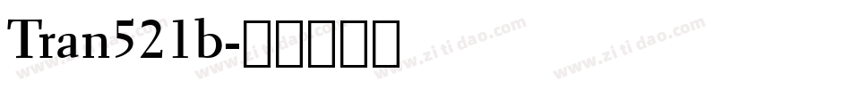 Tran521b字体转换