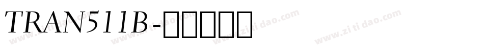 TRAN511B字体转换