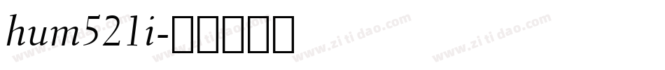 hum521i字体转换