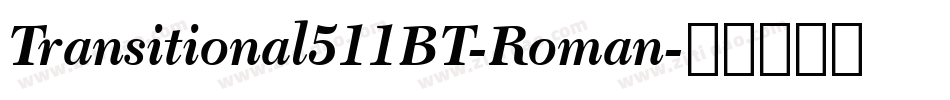 Transitional511BT-Roman字体转换