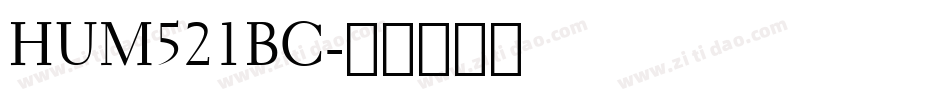HUM521BC字体转换