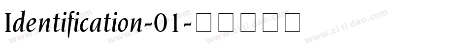 Identification-01字体转换