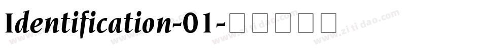 Identification-01字体转换