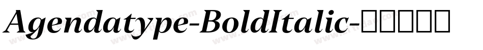 Agendatype-BoldItalic字体转换