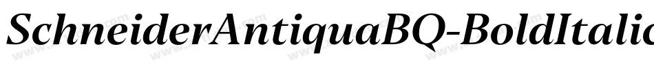 SchneiderAntiquaBQ-BoldItalic字体转换