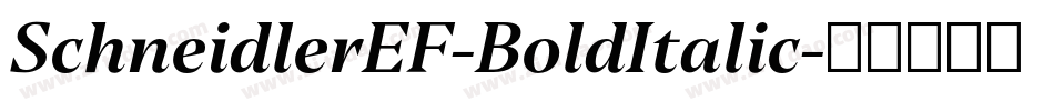 SchneidlerEF-BoldItalic字体转换