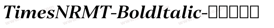 TimesNRMT-BoldItalic字体转换