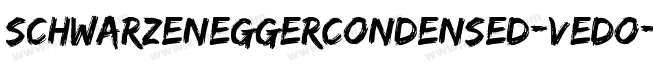 SchwarzeneggerCondensed-vEdO字体转换