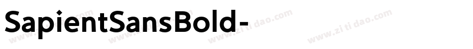 SapientSansBold字体转换