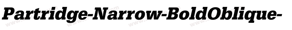 Partridge-Narrow-BoldOblique字体转换