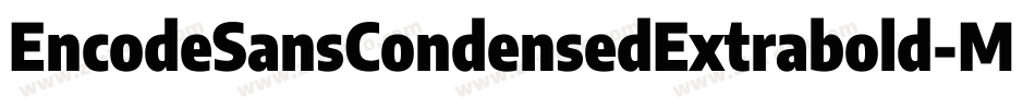 EncodeSansCondensedExtrabold-Mage字体转换