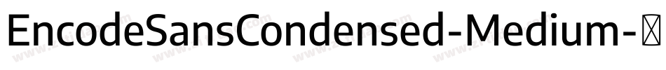 EncodeSansCondensed-Medium字体转换