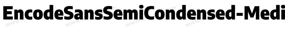 EncodeSansSemiCondensed-Medium字体转换