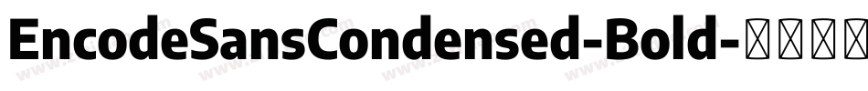 EncodeSansCondensed-Bold字体转换