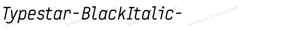Typestar-BlackItalic字体转换