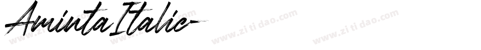 AmintaItalic字体转换