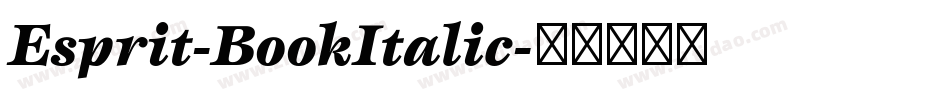 Esprit-BookItalic字体转换