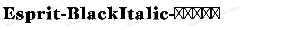 Esprit-BlackItalic字体转换