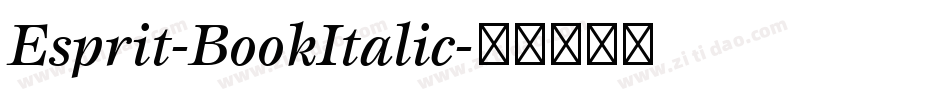 Esprit-BookItalic字体转换