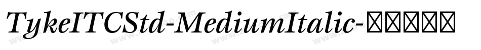 TykeITCStd-MediumItalic字体转换