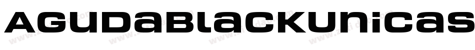 AgudaBlackUnicase-Rg字体转换