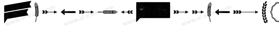 EvelethRegular字体转换
