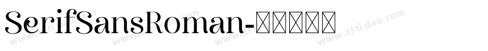 SerifSansRoman字体转换