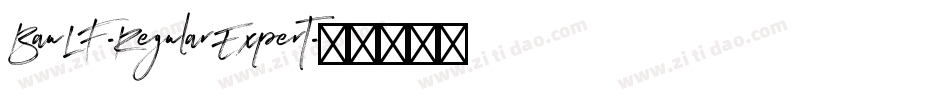 BauLF-RegularExpert字体转换