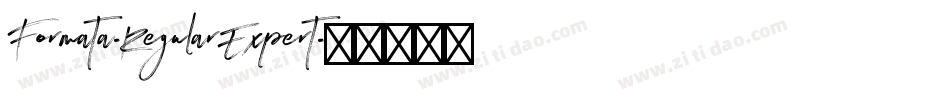 Formata-RegularExpert字体转换