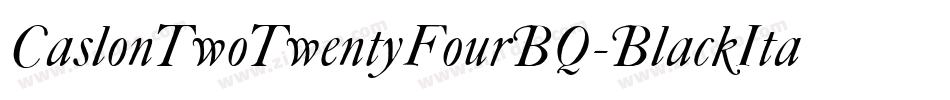 CaslonTwoTwentyFourBQ-BlackItalic字体转换