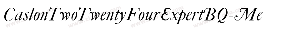 CaslonTwoTwentyFourExpertBQ-Medium字体转换